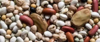 The Serious Eats Guide to Beans