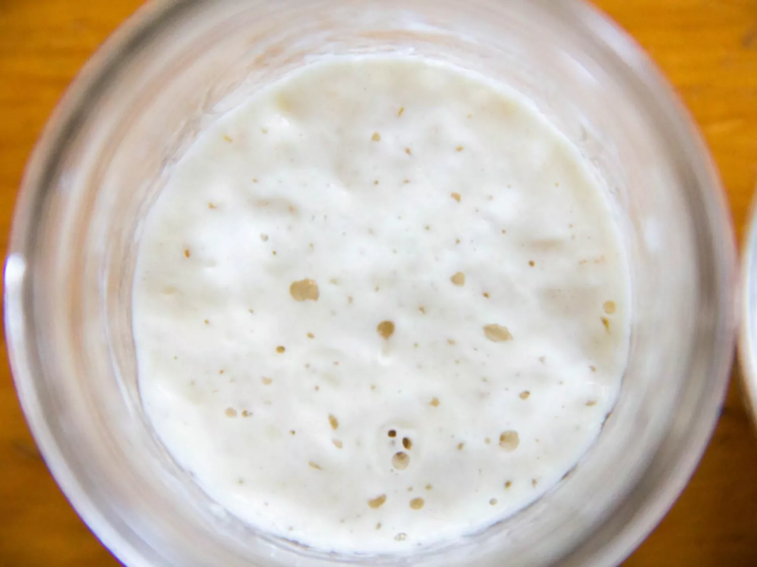 Știința starterilor Sourdough Starters