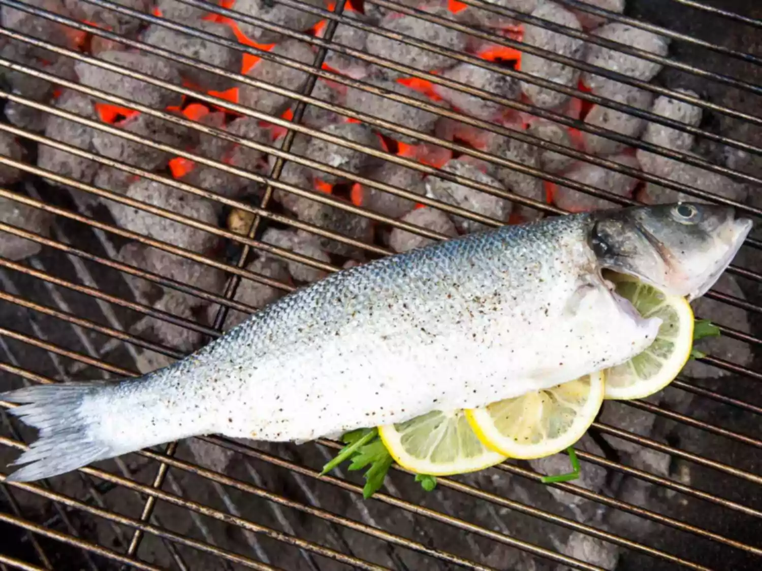 Comment griller un poisson entier