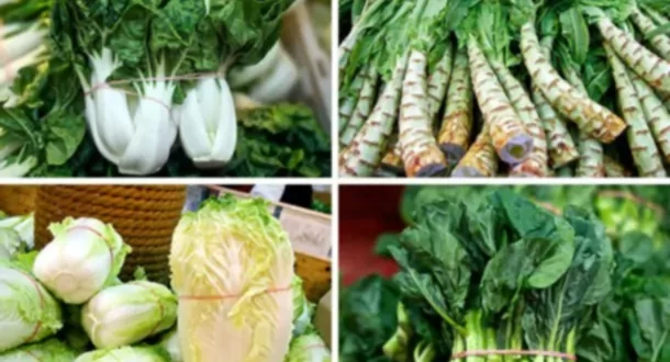 The Serious Eats Field Guide to Asian Greens（アジアングリーン・フィールドガイド