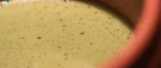 Hora do chá: Tudo sobre Matcha